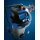 Industriesauger Attix 961-01 PC